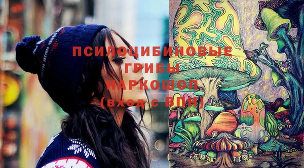 ГАЛЛЮЦИНОГЕННЫЕ ГРИБЫ Гусиноозёрск