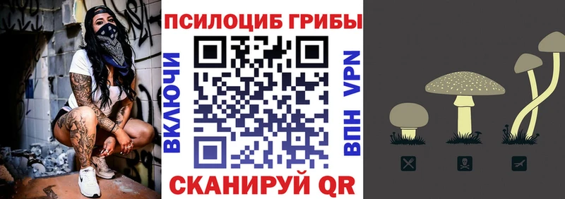 Галлюциногенные грибы Magic Shrooms Иланский