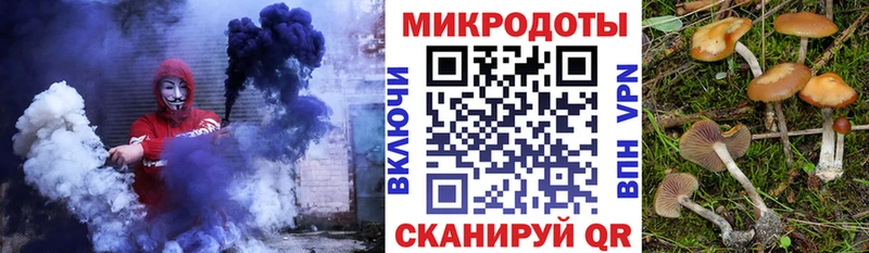 Псилоцибиновые грибы прущие грибы  Купить где  Иланский 